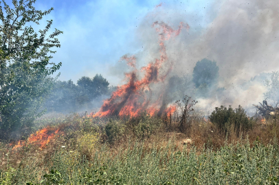 Nilüfer'de otluk alanda çıkan yangın büyümeden söndürüldü