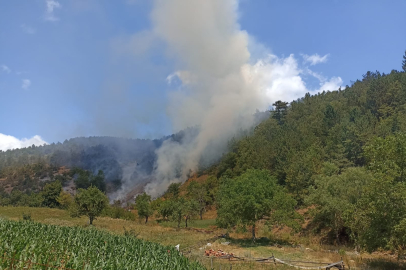Keles'teki orman yangını kontrol altına alındı