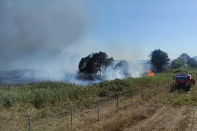 İznik Gölü kıyısındaki sazlık alanda yangın