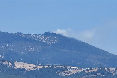 Bursa'da ormanlık alanda çıkan yangın kontrol altına alındı