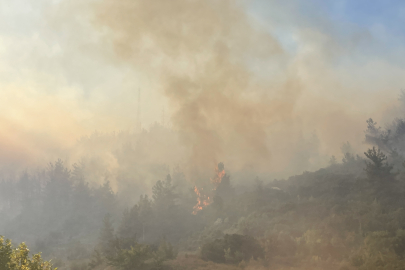 Gündoğdu Mahallesi'nde orman yangını; 15 hektar küle döndü
