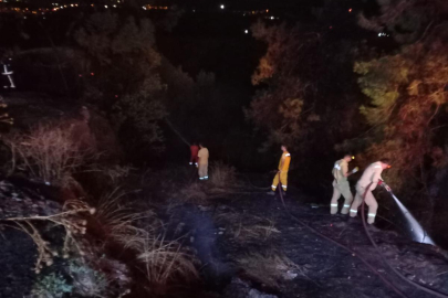 Kestel'de çıkan orman yangını kontrol altına alındı