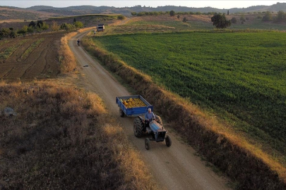 Çiftçilere yaklaşık 1,5 milyar lira tarımsal destekleme ödemesi yapılacak