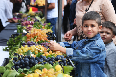 Osmangazi’nin en güzel üzümleri seçildi