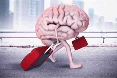 Yükseköğretim mezunlarının beyin göçü oranı yüzde 2'ye yükseldi