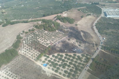 Mudanya'da otluk alanda çıkan yangın söndürüldü