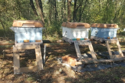 Üniversitenin zarar gören arı kovanları üretici desteğiyle yenilendi