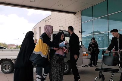 Kavga eden kedi ile köpeği ayırdı, kedinin saldırısına uğradı