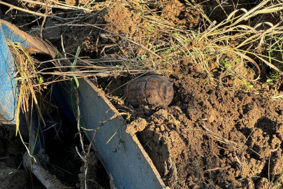 Tarla sürülürken patlamamış el bombası çıktı