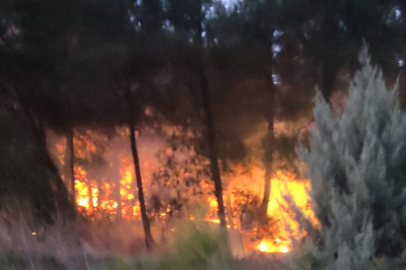 Ovaakça mevkiinde korkutan orman yangını