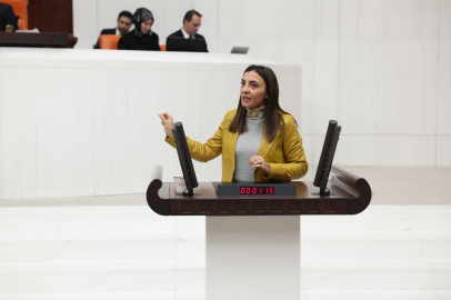 CHP'li Kayışoğlu: 'Ne zaman bitecek bu projeler?'