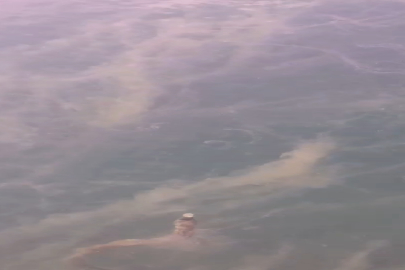 Marmara Denizi'nde müsilaj yüzeye ulaştı