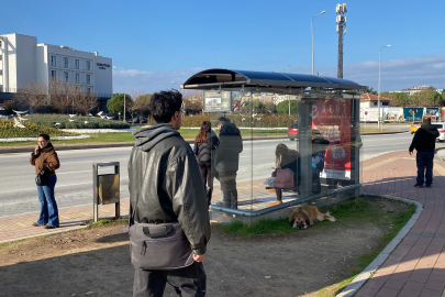 Çanakkale’de 4.4 büyüklüğünde deprem