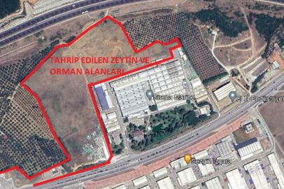 Sirena Marine'e özel imar planları mahkeme kararıyla iptal edildi