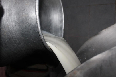 Süte yüzde 17 zam geliyor