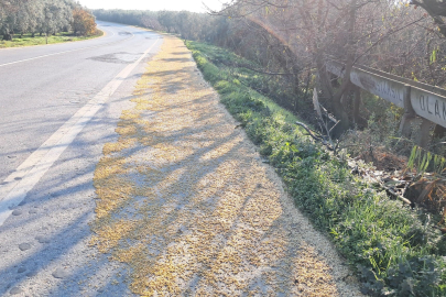 İznik'te tonlarca fasulye yollara saçıldı