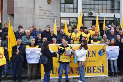 Eğitim Sen’den çağrı: 'Doğa Kaycı’ya yapılanlar kabul edilemez'