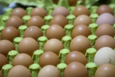 Aralıkta en çok yumurtanın fiyatı arttı