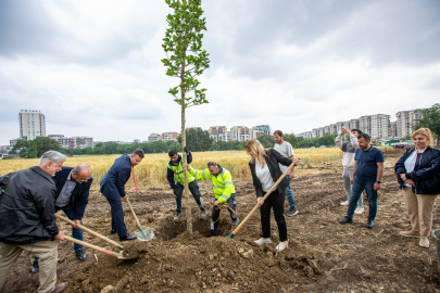 Büyükşehir, ‘daha yeşil Bursa’ için çalışıyor