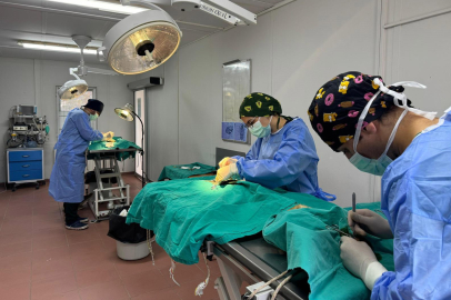 Osmangazi’de kedi popülasyonu kontrol altında