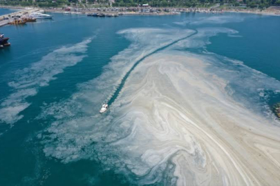 Marmara'daki 7 il için müsilaj uyarısı: Acil önlem alınmalı