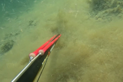 Büyükçekmece'de denizin dibinde korkutan müsilaj görüntüsü