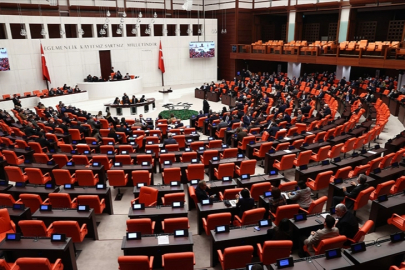 Meclis'te bu hafta sağlık gündemi konuşulacak