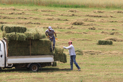 Saman fiyatları bir ay öncesine göre yüzde 10 arttı