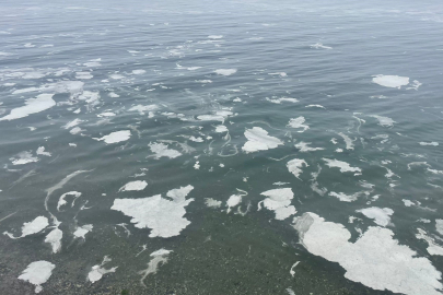 Mudanya'yı müsilaj sardı deniz beyaz tabakayla kaplandı