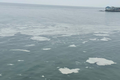 Prof. Mustafa Sarı: '12,5 milyon kişinin atığı arıtılmadan denize akıyor'