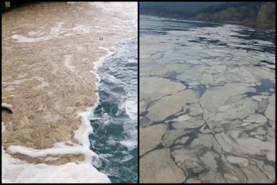 Gemlik Körfezi'nde müsilaj kabusu...Balıkçılar denize açılamadı