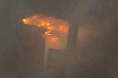 Hayvan çiftliğinde çıkan yangında 10 tavuk 100 civciv telef oldu