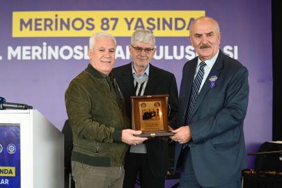 Merinos’un mirası Bursa’da yaşatılıyor