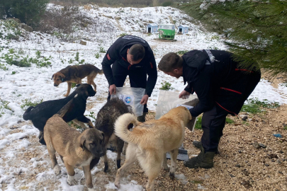 Mudanya Belediyesi'nden kar mesaisi