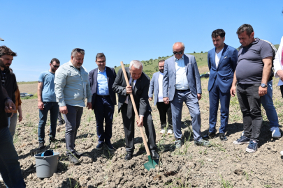 Nilüfer Belediyesi Konaklı’ya 800 zeytin fidanı dikti