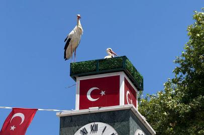 Can ve Canan Leylek yuvalarına geldi
