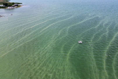İznik Gölü'nde kirlilik her geçen gün artıyor