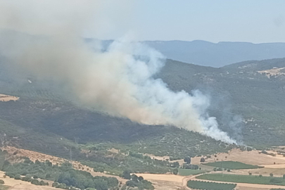 Kestel'de yanan ormanın yanında yeniden yangın başladı