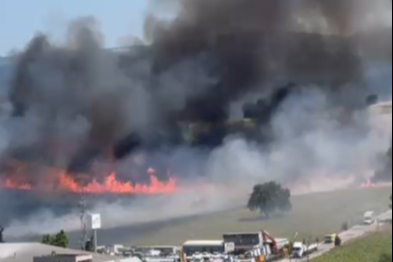 Bursa'da orman yangınlarının ardı arkası kesilmiyor