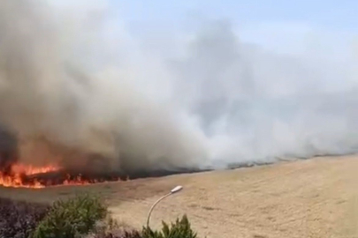 Nilüfer'de korkutan yangın kontrol altına alındı
