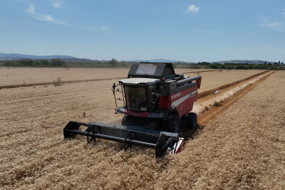 Bursa'da Büyükşehir desteği ile hasat zamanı