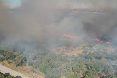 Silivri’deki yangında 100 hektar ormanlık alan zarar gördü
