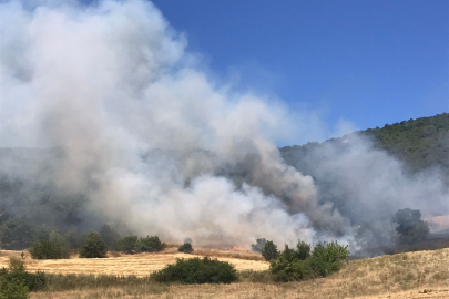 Yenişehir'de buğday tarlasında çıkan yangın ormana sıçradı