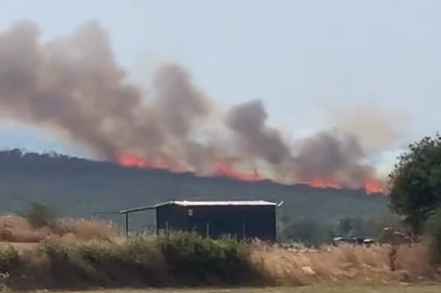 Bursa'da iki ayrı noktada orman yangını