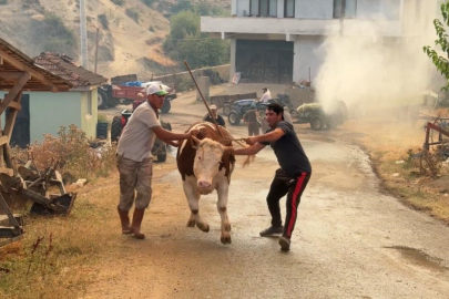 Sakarya’daki orman yangınına müdahale sürüyor: Bir mahalle tahliye ediliyor