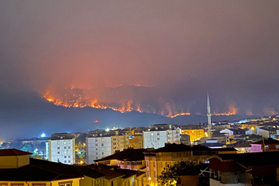 Bilecik'te alevler ilçe merkezine ilerliyor; Su tankerini alan yangına müdahaleye koştu