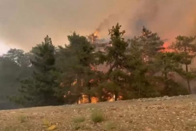 Bursa'da 5 köyün tahliye edildiği yangın büyüyerek sürüyor