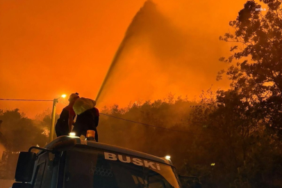 Bursa'da Gürsu ve Kestel'deki orman yangını nedeniyle kül yağışı etkili oluyor