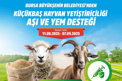 Bursa Büyükşehir'in aşı ve yem desteği başvuruları başladı