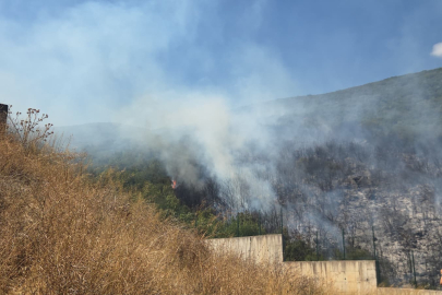 Orhangazi'de orman yangını korkuttu